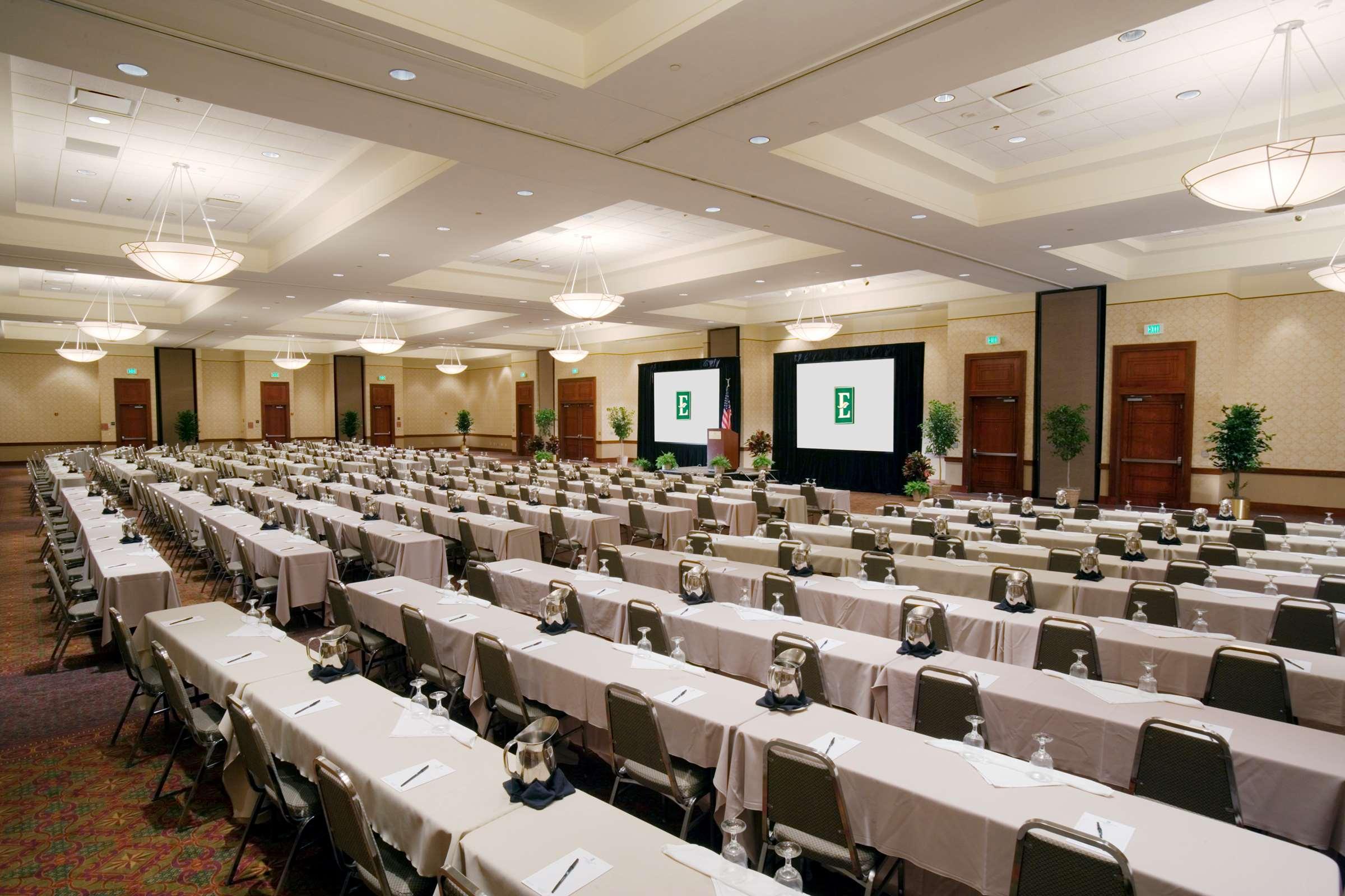 Embassy Suites By Hilton Tampa Usf Near Busch Gardens Facilities photo