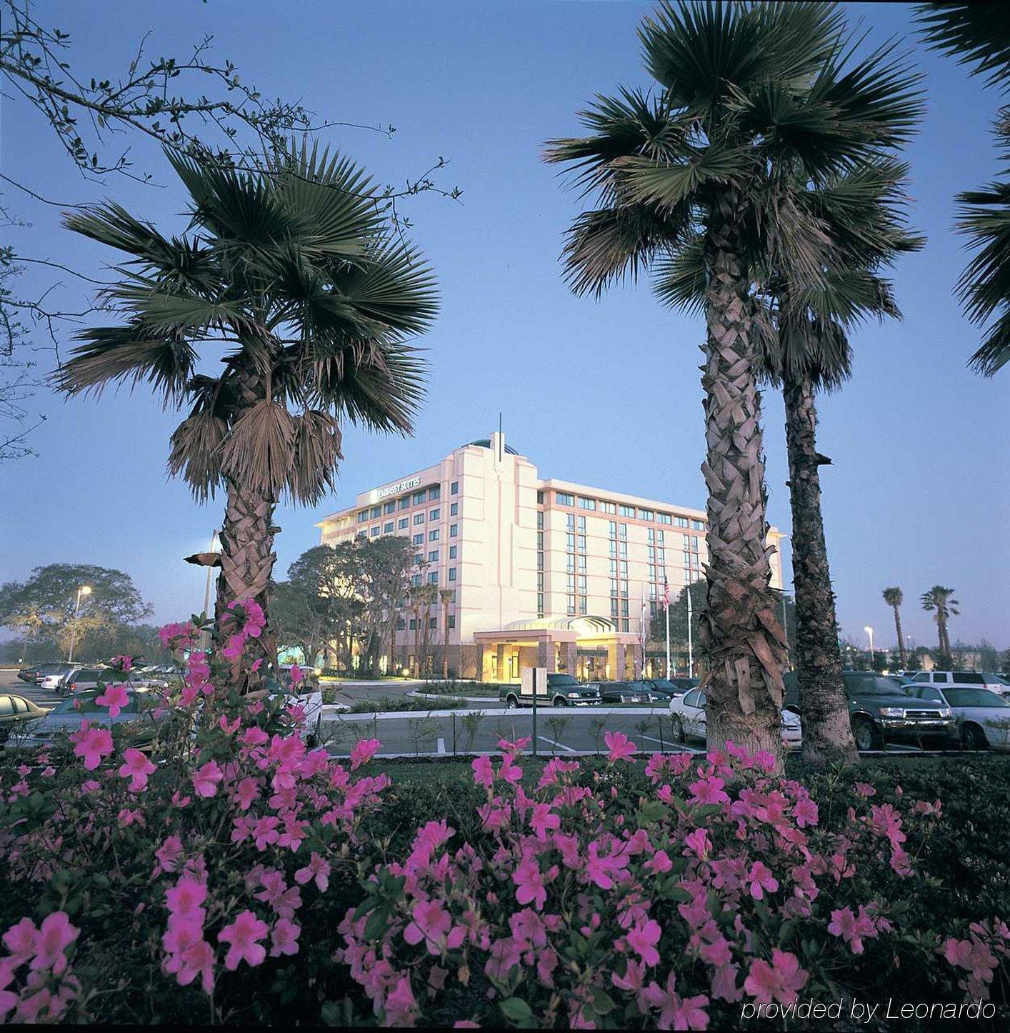 Embassy Suites By Hilton Tampa Usf Near Busch Gardens Exterior photo